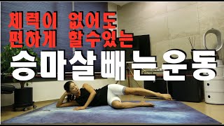 편하게 누워서 승마살 태우는 법 🔥바깥벅지 도려내기 실시  강하나스트레칭202006 [upl. by Dalohcin572]