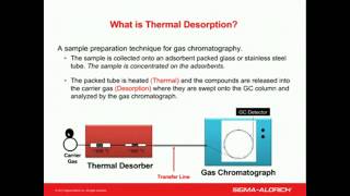 Choosing the Right Adsorbent for Your Thermal Desorption Gas Chromatography Applications [upl. by Salchunas800]