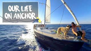 Back to Life on Anchor  Sailing Sunday Ep 119 [upl. by Dlorah621]