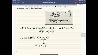 Milrinone Mechanism of action [upl. by Mcmaster]