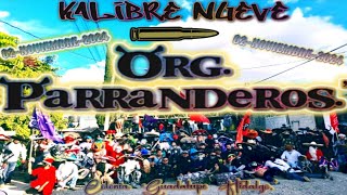 TORITO ORG PARRANDEROS 💯🐂 COLONIA GUADALUPE HIDALGO ✨ 02 NOVIEMBRE 2024 💀 KALIBRE 9 amp PRS 🐂💥 [upl. by Yelnahs]