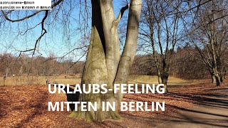 Ausflug zum Volkspark Rehberge mit Wasserspielplatz Liegewiese Spaziergang in BerlinWedding [upl. by Novled451]