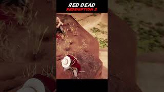 What is this stupidity of the npc arthurmorgan gaming reddeadredmption [upl. by Pasadis842]