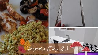 Vlogtober 23  More Kitchen Planning Picking Quartz amp A Rant [upl. by Yerahcaz621]