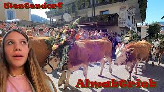 WESTENDORF ALMABTRIEB vlog 186 [upl. by Licha]