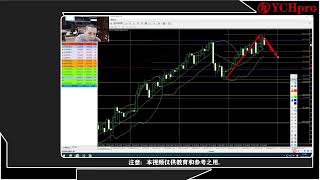 外汇交易直播  黄金外汇信号  XAUUSD 外汇交易 [upl. by Eiliah]