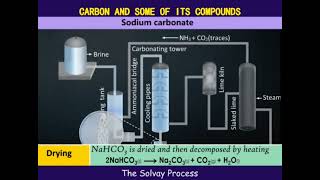 The solvay process [upl. by Clayborn]