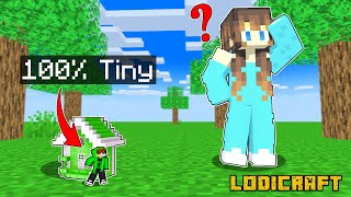 Using 100 TINY HOUSE to Cheat in Minecraft Hide N Seek [upl. by Onateag]