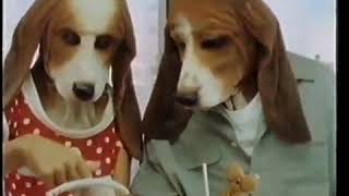 Hush Puppies Puppy Love advert 1989 [upl. by Aivila]