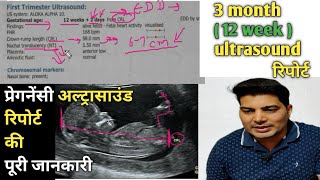 12 week ultrasound  sonography se kaise jane ladka hai ya ladki  6 week ultrasound  trimester [upl. by Ettennaej886]