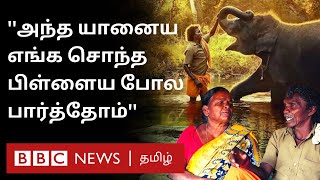 The Elephant Whisperers Oscar Raceல் இருக்கும் ஆவணப்படத்தில் நடித்த தம்பதி பொம்மன் பெல்லியின் கதை [upl. by Puritan]