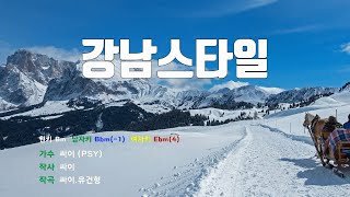 은성 반주기 강남스타일  싸이PSY [upl. by Hammer]