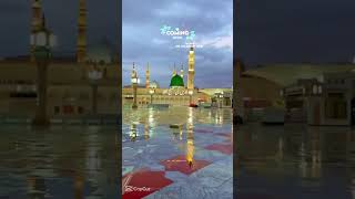 Sama he noor ka nikla chand he naat status video owais raza qadri naat 12rabiulawalstatus status [upl. by Gintz373]