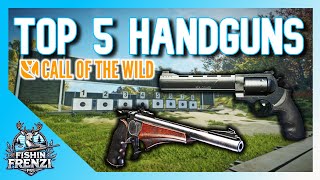 Top 5 BEST Handguns In theHunter  Call of the Wild [upl. by Ellehcin]