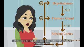 Grundlegende Psychologie Die Funktion des endokrinen Systems [upl. by Mckale]