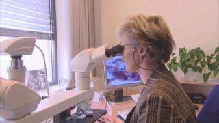 Pathologie in het UMC St Radboud [upl. by Naic]