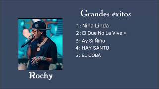 Mix Rochy  grandes éxitos lyrics [upl. by Leiser972]