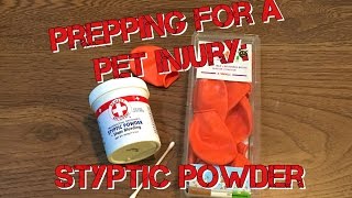 Styptic Powder  Prepping for a Pet Injury  How to Stop the Bleeding [upl. by Atikihs23]