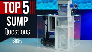 Better Than an Aquarium Canister Filter Saltwater Tank Sumps amp HOW They Work [upl. by Ahsie]