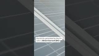 How Do Solar Panels Generate Electricity [upl. by Cr]