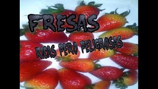 CÓMO LAVAR DESINFECTAR Y CONSERVAR LAS FRESAS Mantener las fresas frescas por mucho tiempo [upl. by Josepha]