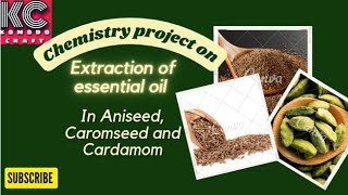 project on extraction of essential oils present in saunf ajwain and illaichi chemistry project [upl. by Hgielrac]