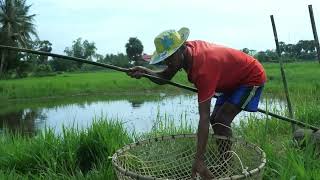 Primitive technology  Making Trap To Catch Catfish using Bamboo to lure fish Trap Work 100 [upl. by Bornstein]