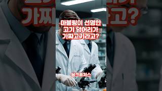 푸드테크의 미래 세포배양육티센바이오팜세포배양육푸드테크 [upl. by Lustick]