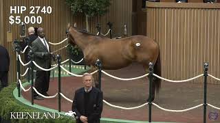 Keeneland Live Feed [upl. by Norling]