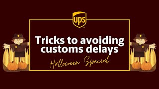 How to Avoid Customs Delays Top Tricks and Tips [upl. by Leerzej461]