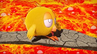 Wheres Chicky Funny Chicky 2022 🥵 THE FLOOR IS LAVA  Chicky Cartoon in English for Kids [upl. by Imiaj]