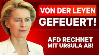 🚨 AFD SCHMEIßT VON DER LEYEN AUS DEM PARLAMENT EU IM AUSNAHME ZUSTAND [upl. by Cosme]