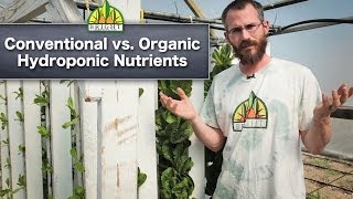 Hydroponics Safety Conventional vs Organic Hydroponics [upl. by Ehtyaf]