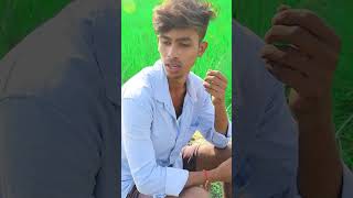 video  bhai Gf kahan hai  comedy funny tyshorts youtubeshorts [upl. by Martella760]