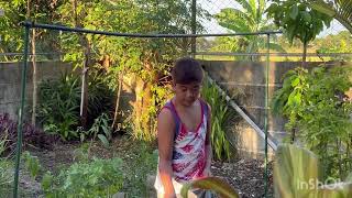 Holidays in Philippines 🇵🇭Meet Family and Friends Pinas Life Simple The Best 🌳🌴🥑🍍🍇🍒 [upl. by Astra]