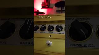 Line 6 DM4 Distortion Modeler [upl. by Ganny]