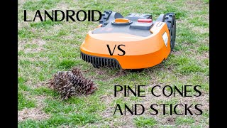 Worx Landroid versus Pine Cones [upl. by Gaston]