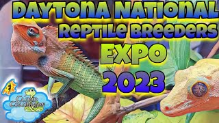 Daytona National Reptile Breeders Expo 2023 [upl. by Aitital]