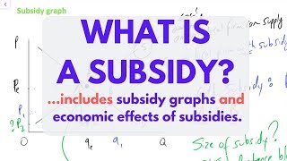 What is a SUBSIDY Subsidies EXPLAINED [upl. by Rosdniw]