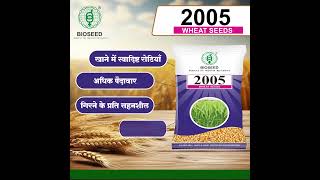 WheatSeedsBioseed2005 कृषिउन्नति उत्कृष्टफसल [upl. by Tati]