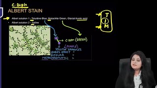 Microbiology RR  Part1  Dr Preeti Maam  FMGE NEETPG [upl. by Seni423]