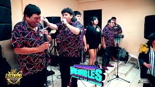 Los IMBATIBLES BRAVOS de la CUMBIA  Mix Carretero  DR [upl. by Idalina]