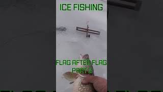 Ice Fishing Flag After Flag Part 2 icefishing [upl. by Alonzo]