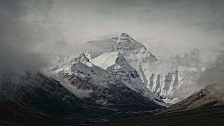 2013 Expedition Everest Challenge [upl. by Ahsienad]