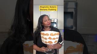 Is the Magnolia Bakery Banana Pudding overrated bananapudding [upl. by Ayrolg947]