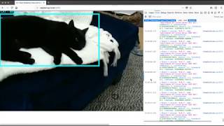 Real time object detection on a Pi Zero streaming over the web [upl. by Smallman210]