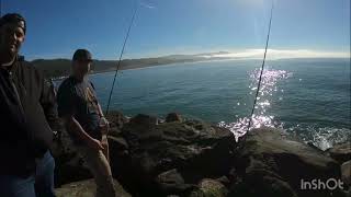 Opening Day For CRAB Season 2023 Half Moon Bay Jetty [upl. by Ravo308]