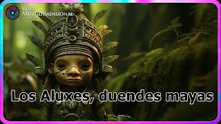 Los Aluxes duendes mayas Una experiencia Astral [upl. by Yelhak645]