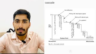 Oxygen Cascade [upl. by Nemaj]