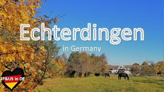 【Echterdingenドイツ】🇩🇪Walking in Echterdingen Germany  Autumn in Germany  Germany Vlog [upl. by Rebane]